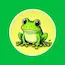 BabyFrog