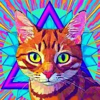 CATN