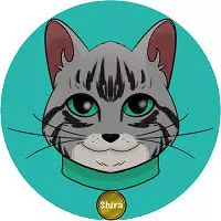 CATSHIRA