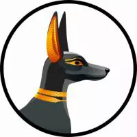 DOGESNFT