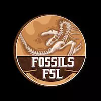FSL