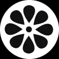 HSE