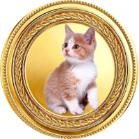 KATT Icon