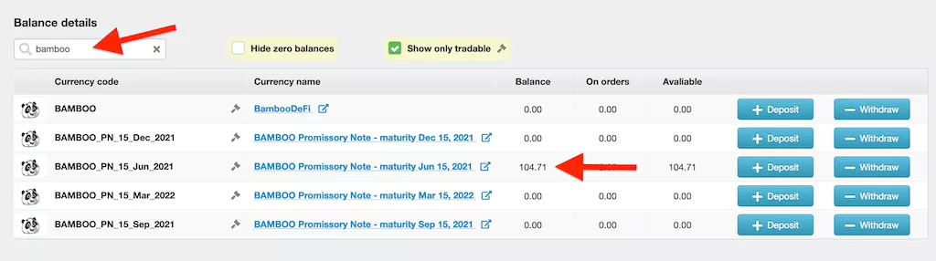 Promissory notes appear in the balance