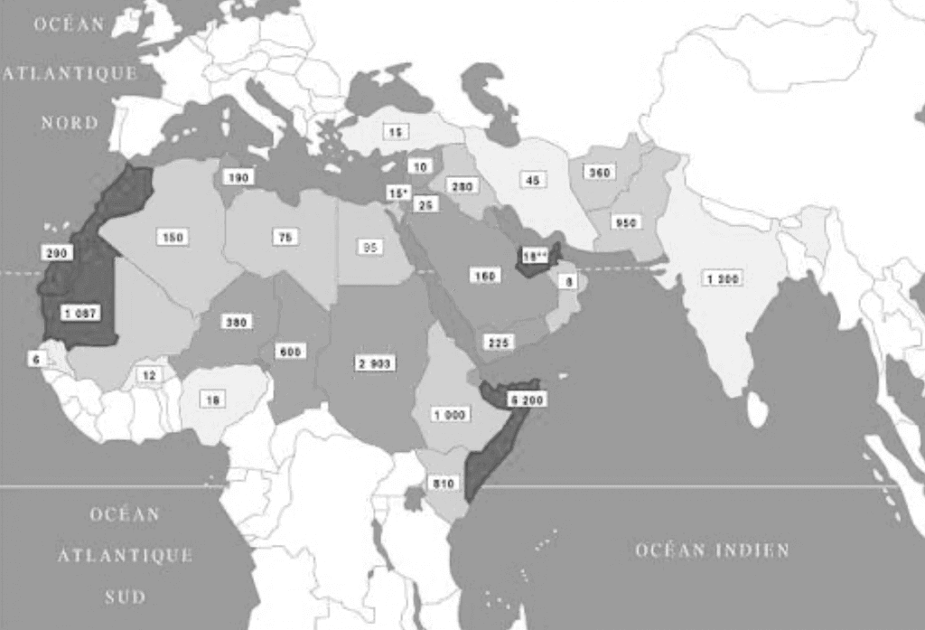 camels by countries