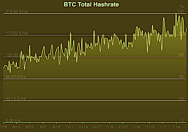 Bitcoin's hashrate