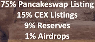 initial allocation of DOGESNFT Tokens