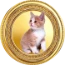 Kattcoin coin logo