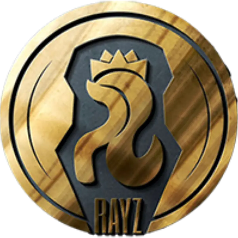 RAYZ logo